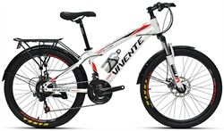 Xe đạp địa hình thể thao VIVENTE 24F3 2022